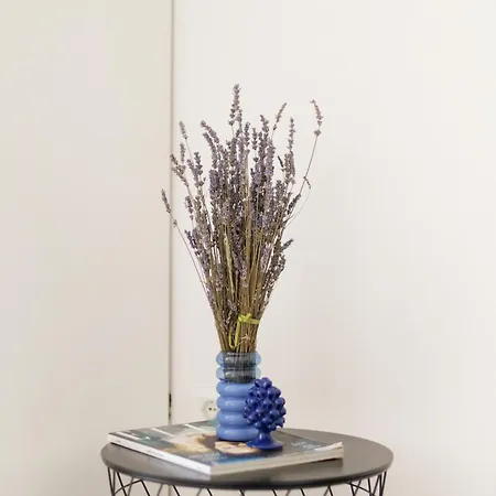 Grotta Appartement *